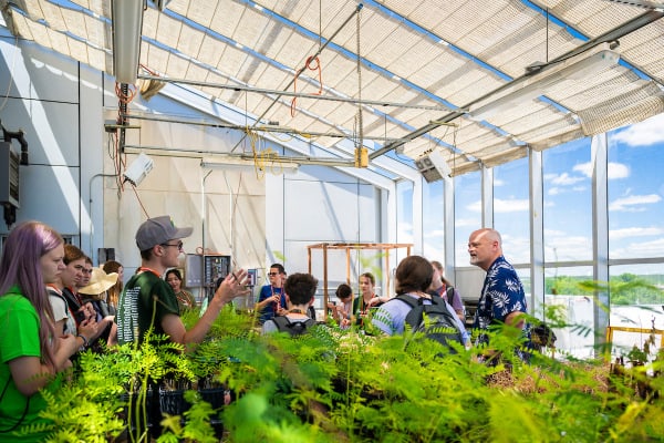 Campers in greehouse